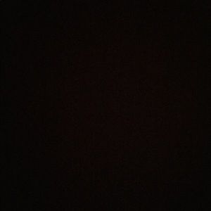 Meet your Posher, Shalina